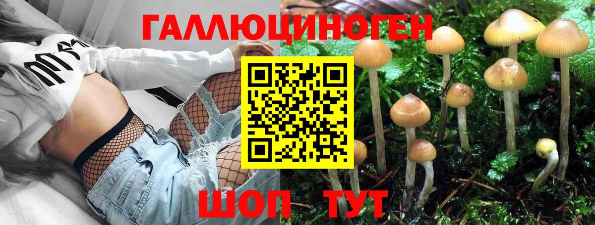Псилоцибиновые грибы Magic Shrooms Егорьевск