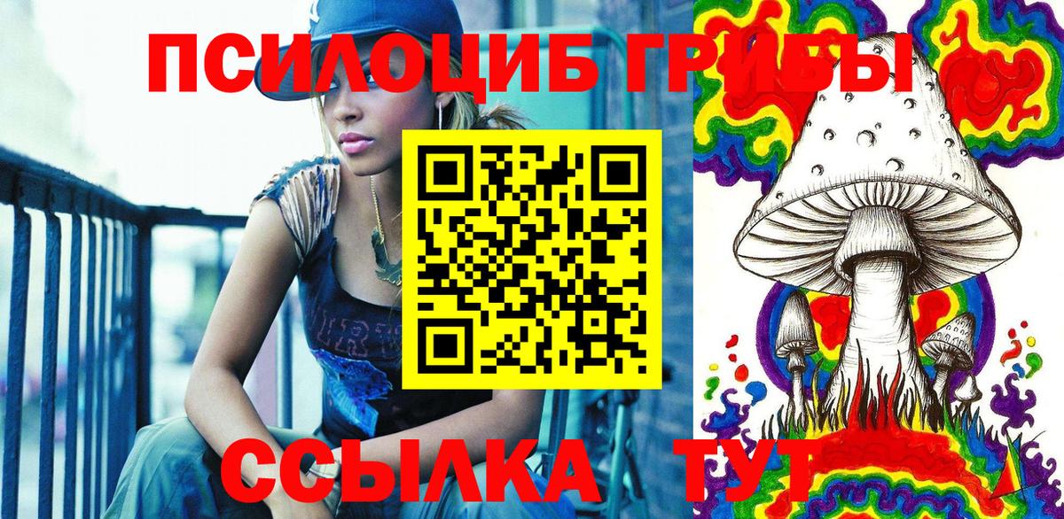 Егорьевск  Псилоцибиновые грибы Psilocybine cubensis  Вход с VPN 